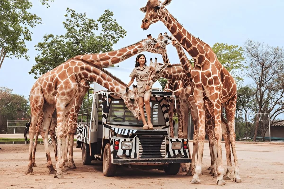 Safari World