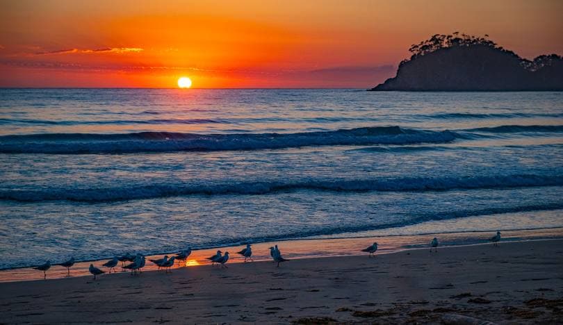 Surf Beach
