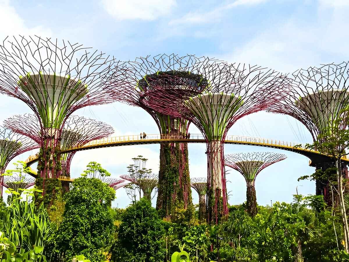 Gardens by the Bay