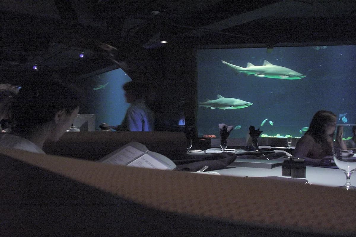 underwater restaurants in the maldives