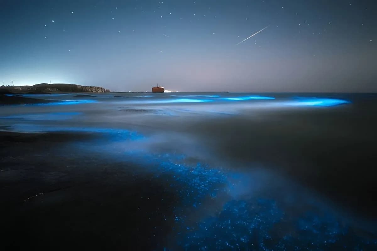 glowing beach