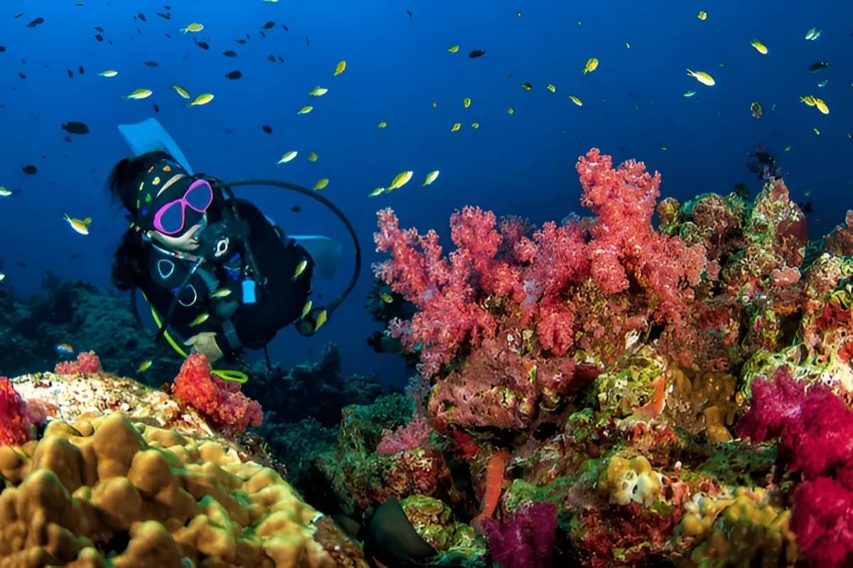 Scuba Diving in Thailand