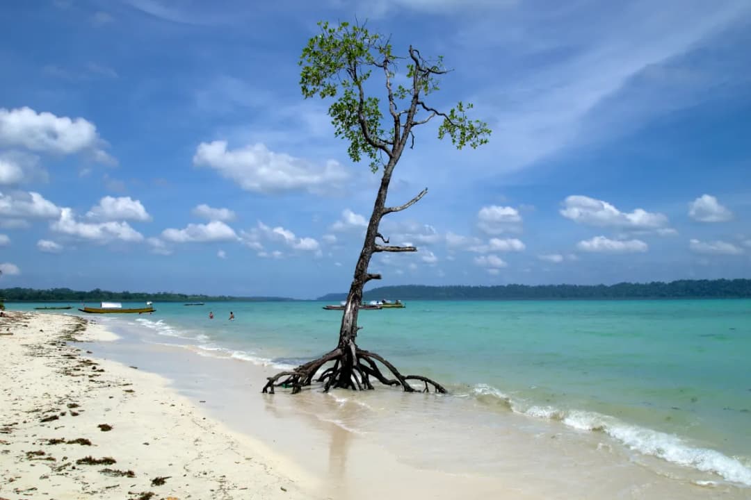 Rasfannu