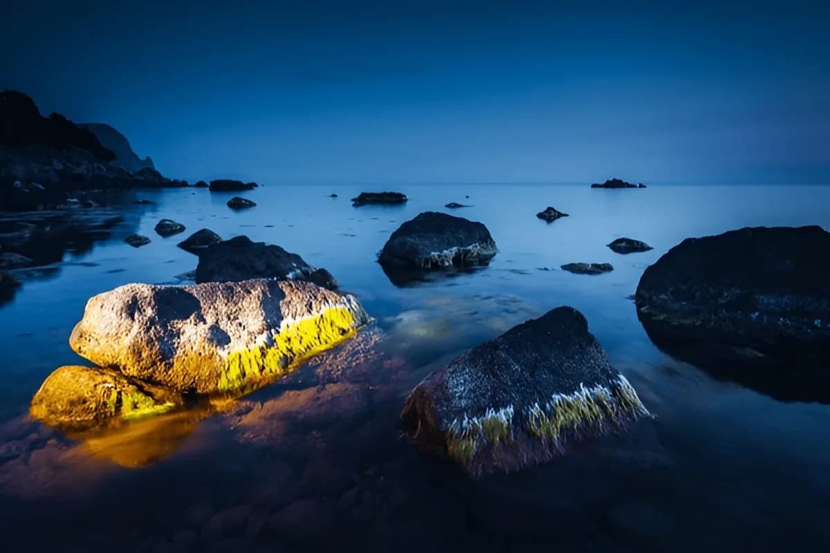 glowing beach