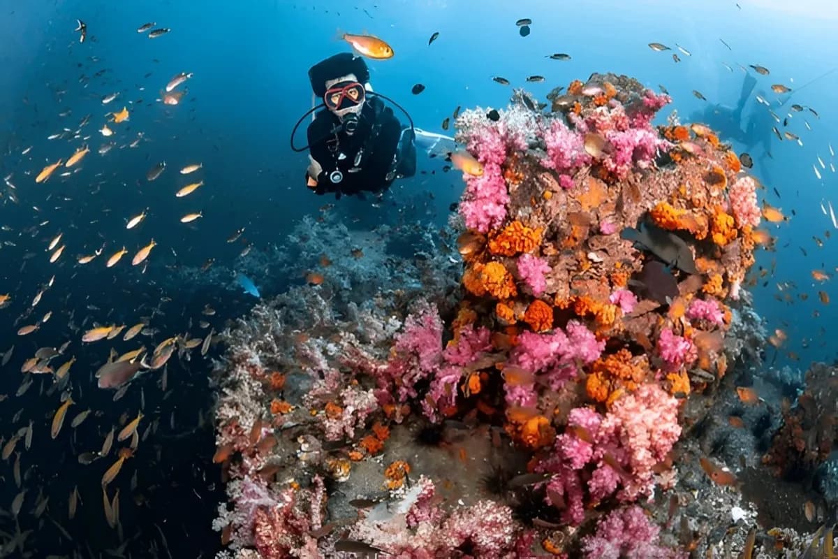 Scuba Diving in Thailand