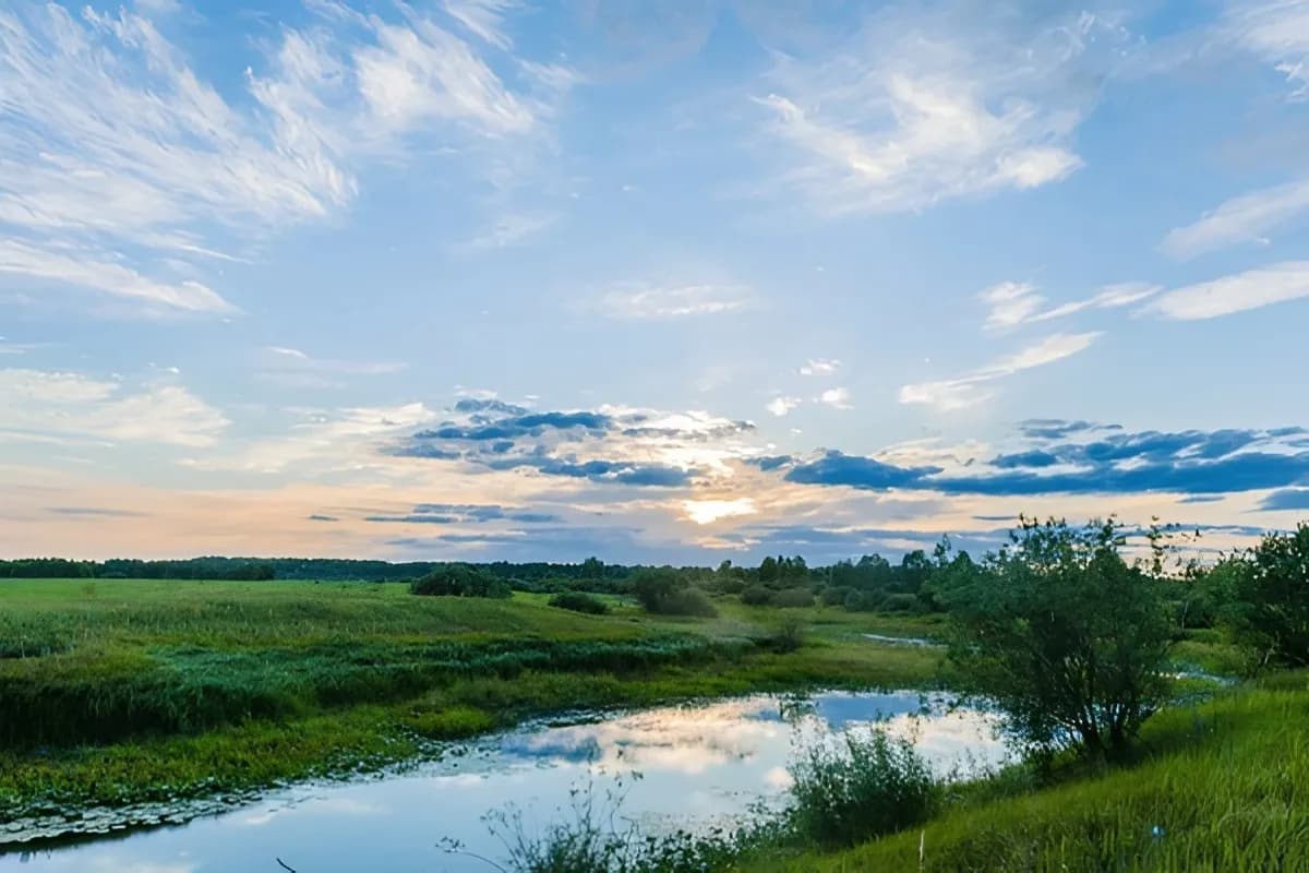 Pripyatsky National Park