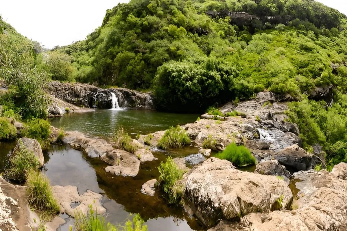 Tamarin Falls