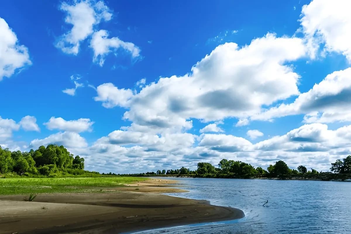 Pripyatsky National Park