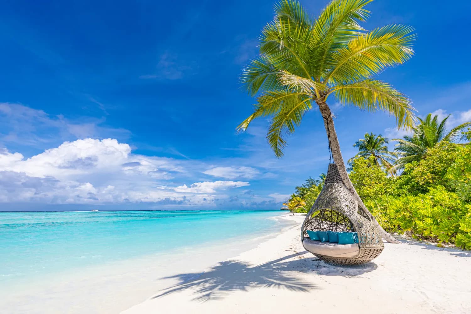 Maldives View