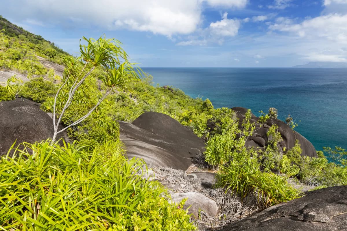 Anse Major
