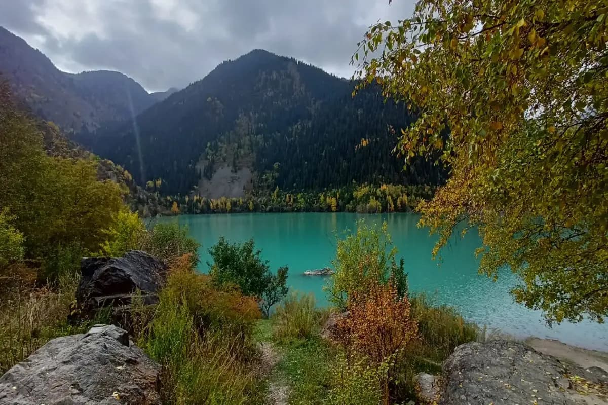 Turgen Bears Waterfall