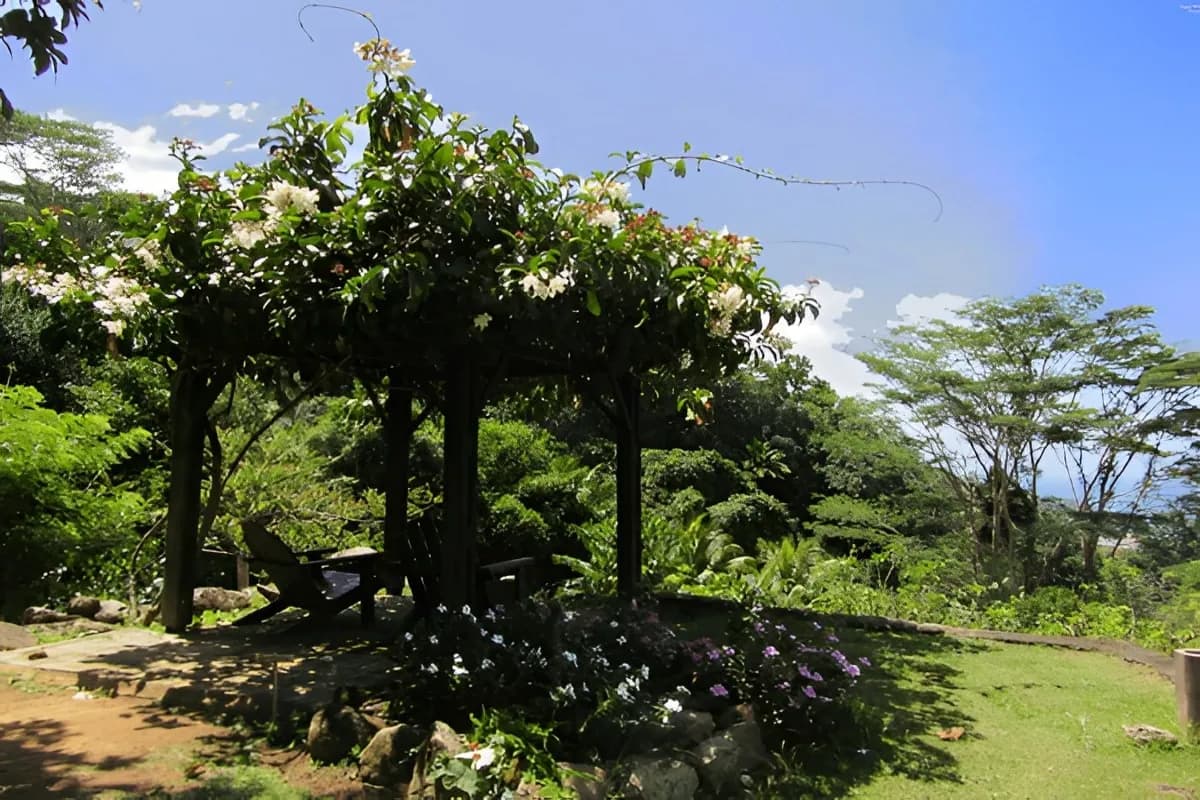 Jardin du Roi Spice Garden