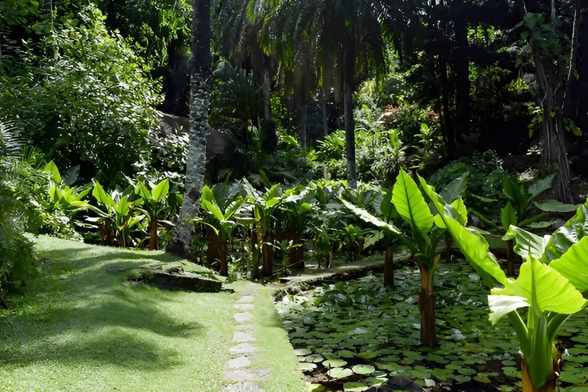 Jardin du Roi Spice Garden