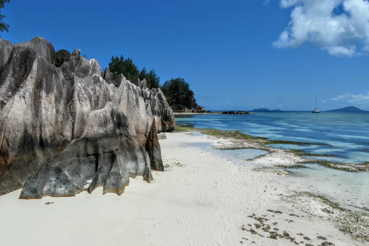 Curieuse Island