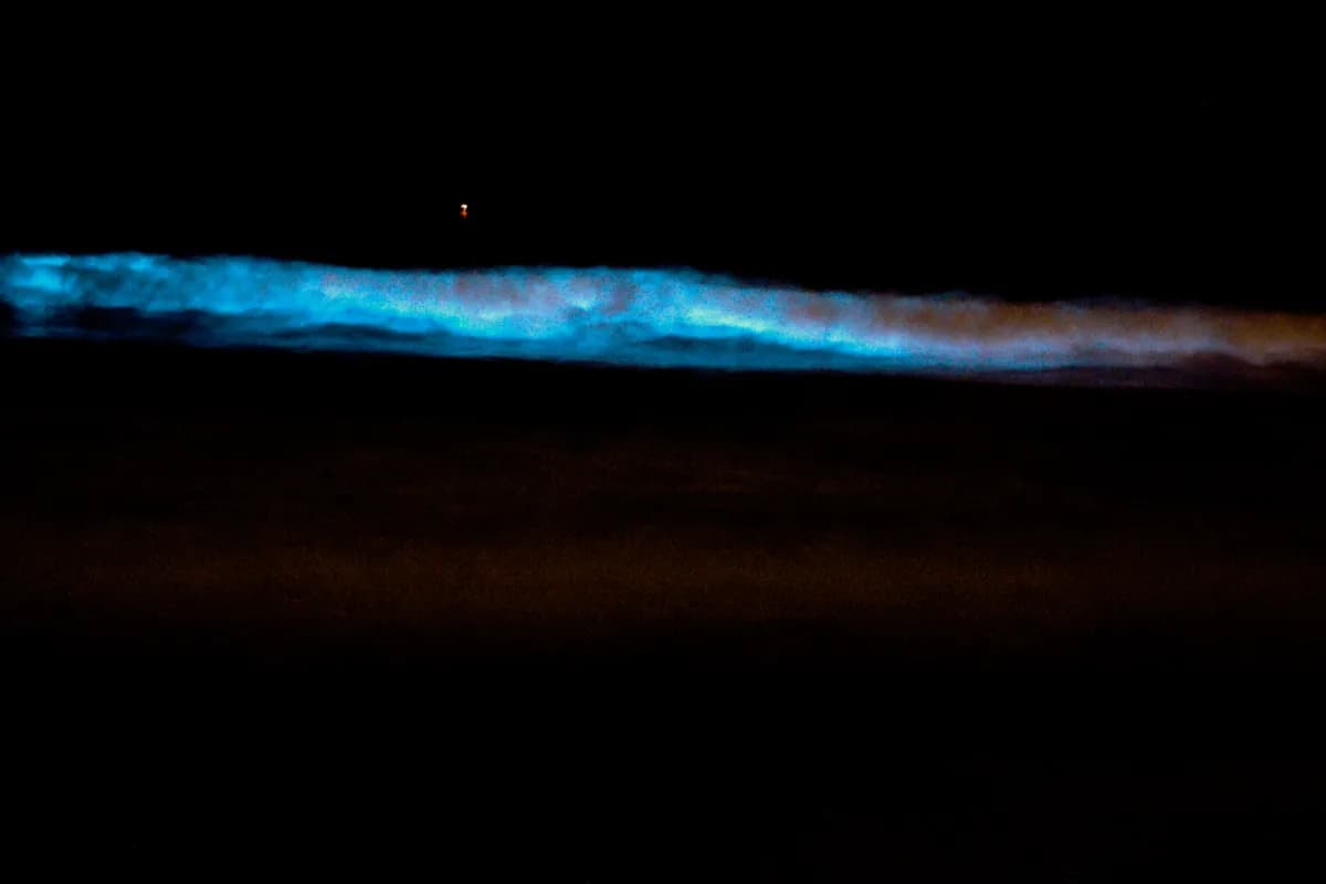 glowing beach