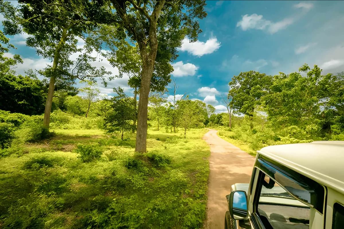 Yala National Park