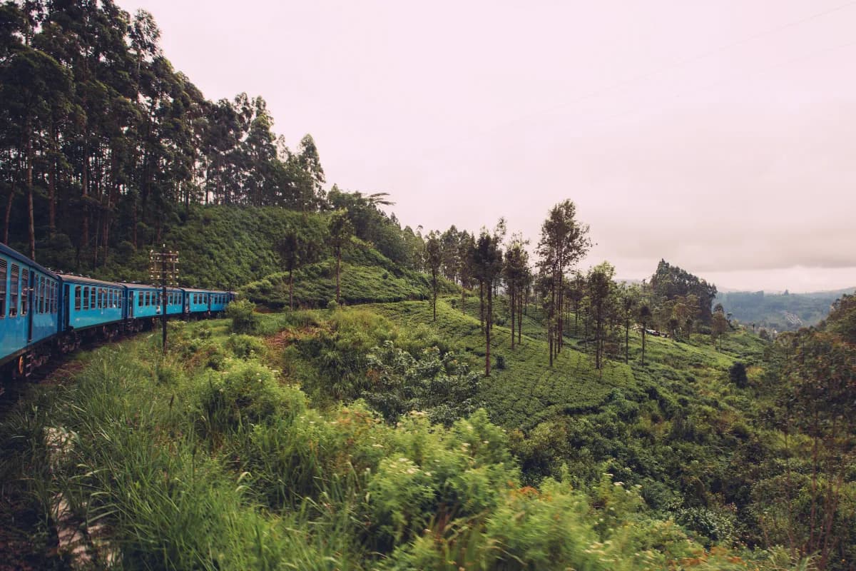Scenic Railway in Sri Lanka