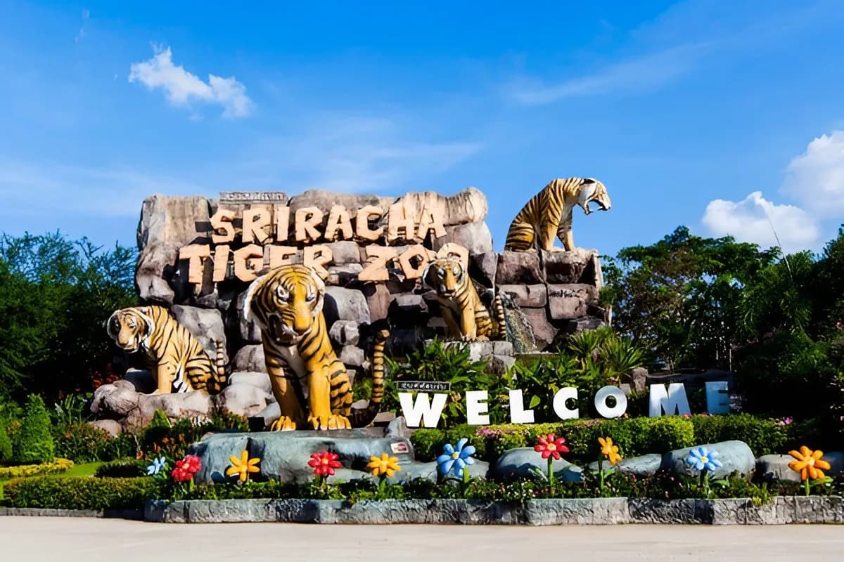 Tiger Topia Sriracha Zoo