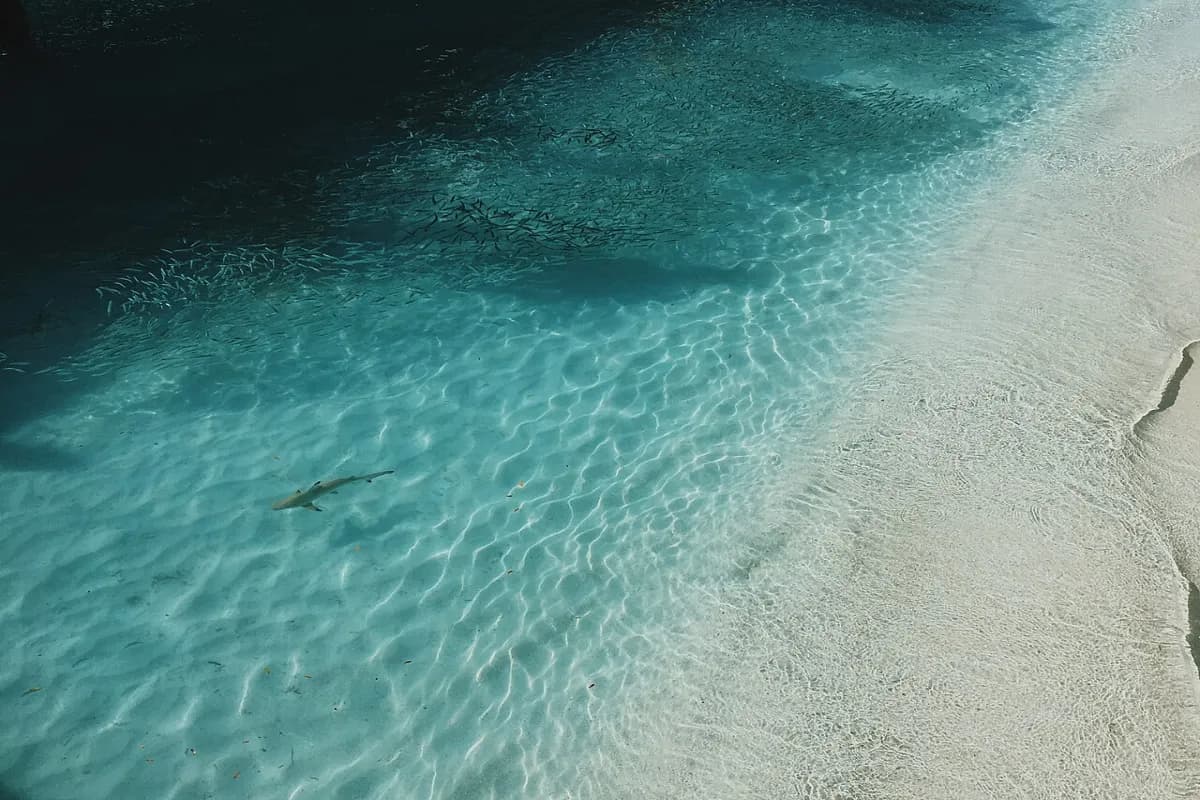 Meeru Island