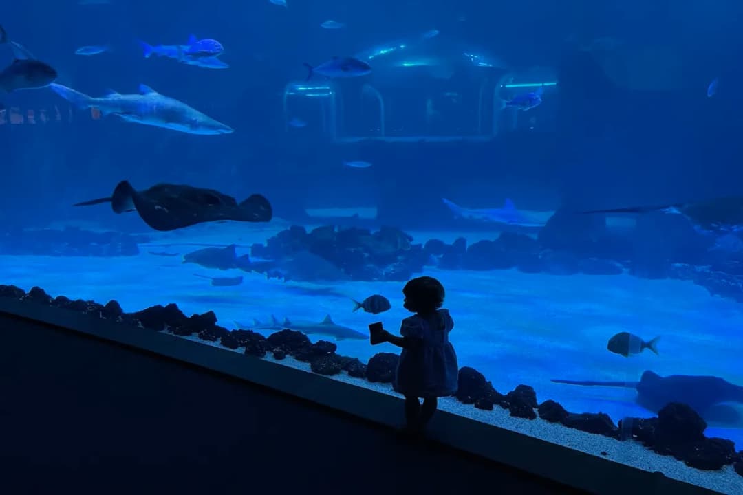 SEA Underwater Restaurant