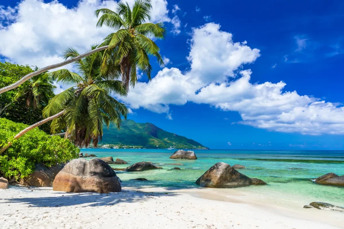 Scenic view of Beau Vallon Beach in Seychelles featuring soft white sand, turquoise waters, palm-lined shores, and a relaxing tropical beach atmosphere.