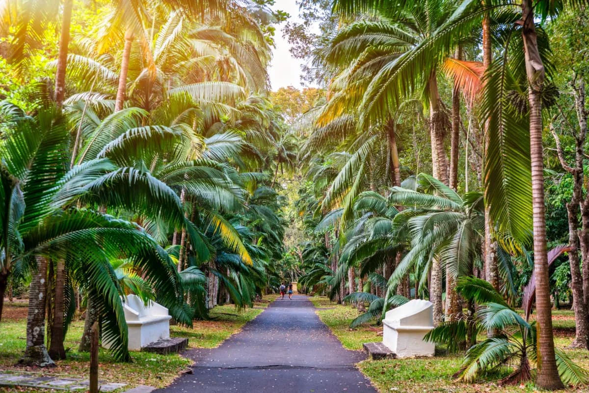 Sir Seewoosagur Ramgoolam Botanical Garden
