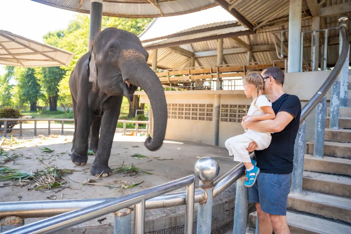 Wildlife Safari in Thailand