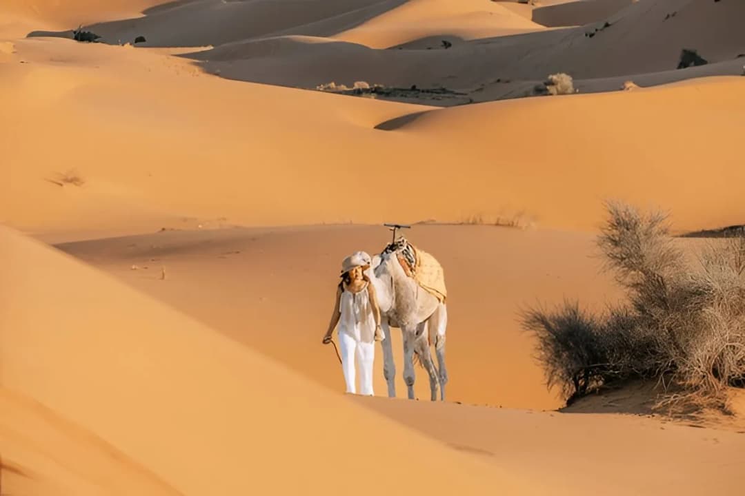 Camel Ride Trails