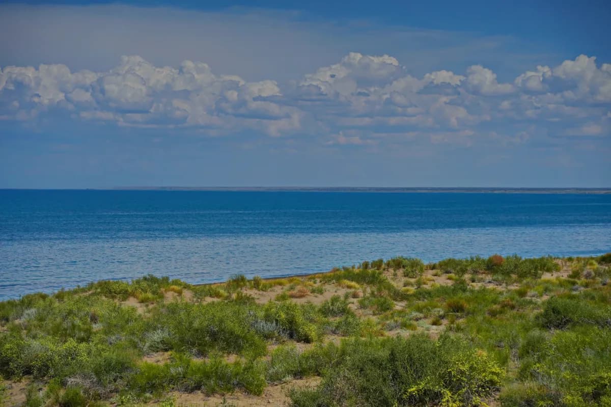 The shore of Lake Balkhash