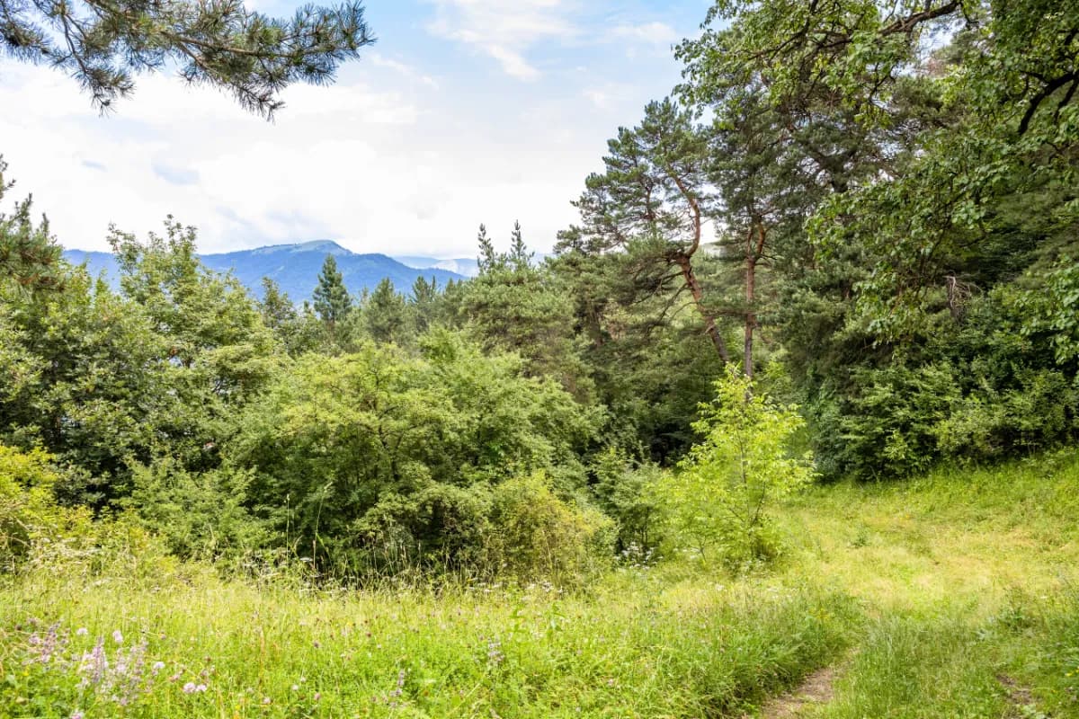 Dilijan National Park