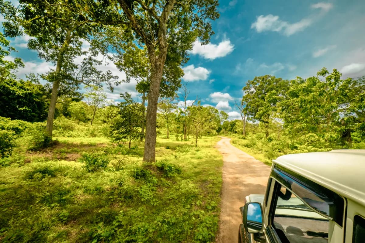 Yala National Park famous wildlife reserve in Sri Lanka known for leopards, elephants, diverse ecosystems, and rich safari experiences across forests, lagoons, and grasslands.