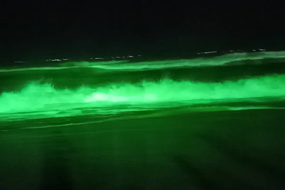 glowing beach