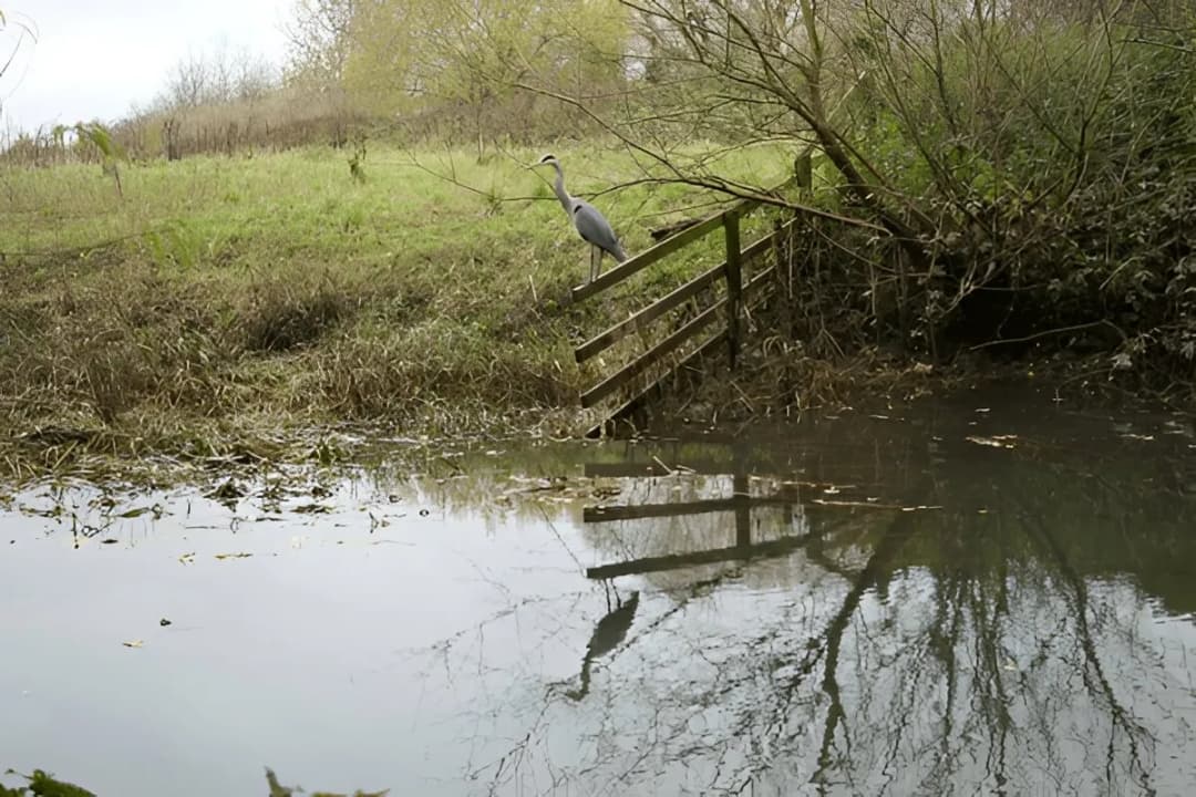 Lakeside Birdwatching Zones