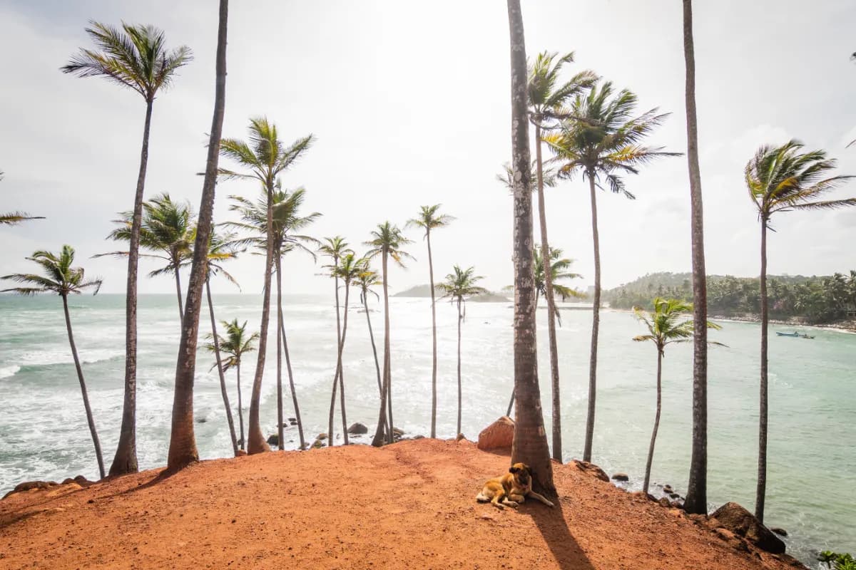 Arugam Bay Beach