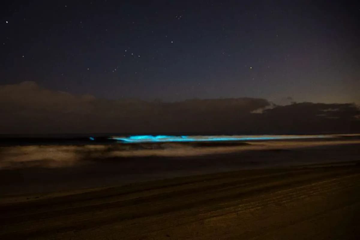 glowing beach
