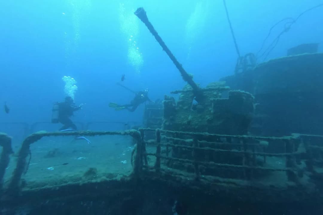 British Loyalty Wreck
