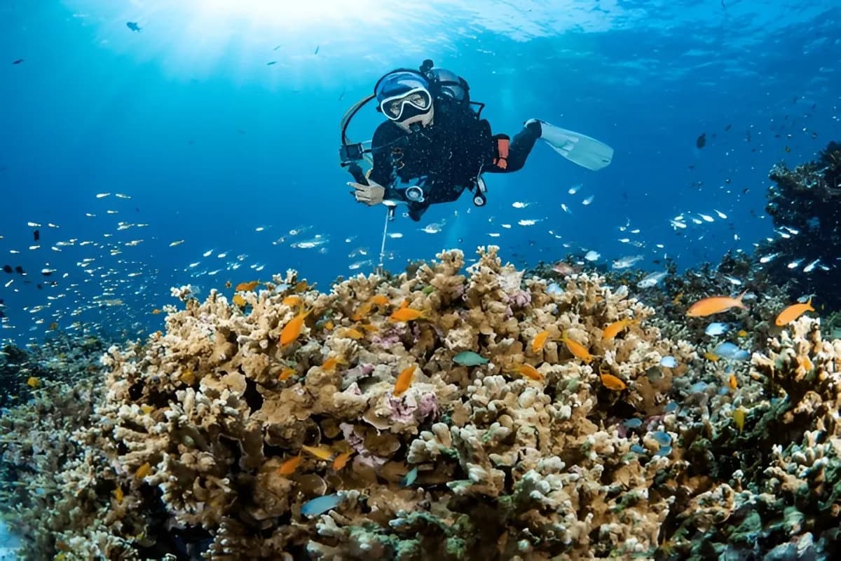 Scuba Diving in Thailand