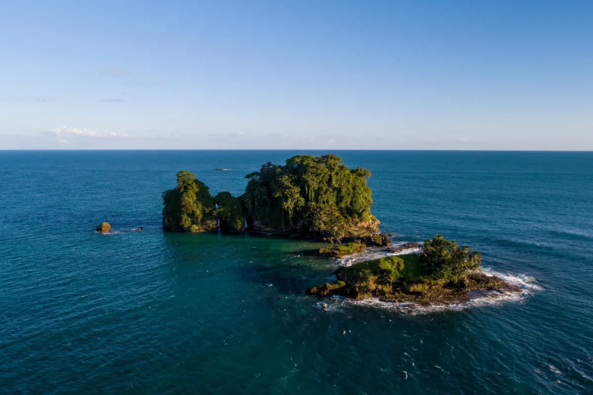Bird Island