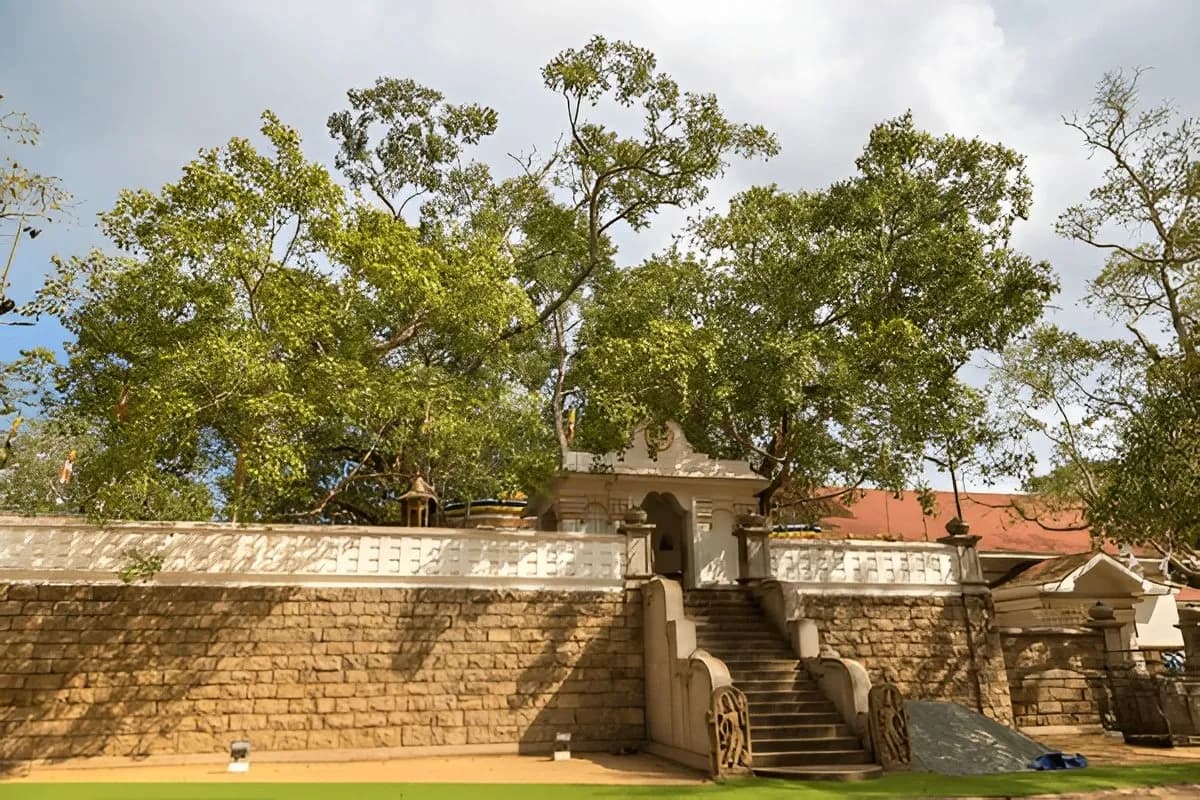 Jaya Sri Maha Bodhi