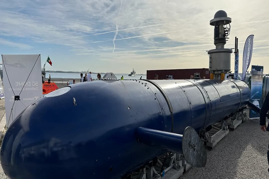 Whale Submarine